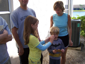 bee removal, willie the bee man, bees,swarm