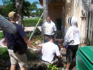bee removal, willie the bee man, bees,swarm